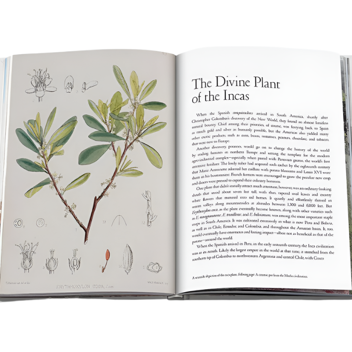 ASSOULINE COCAIN: HISTORY & CULTURE ICONS BOOK