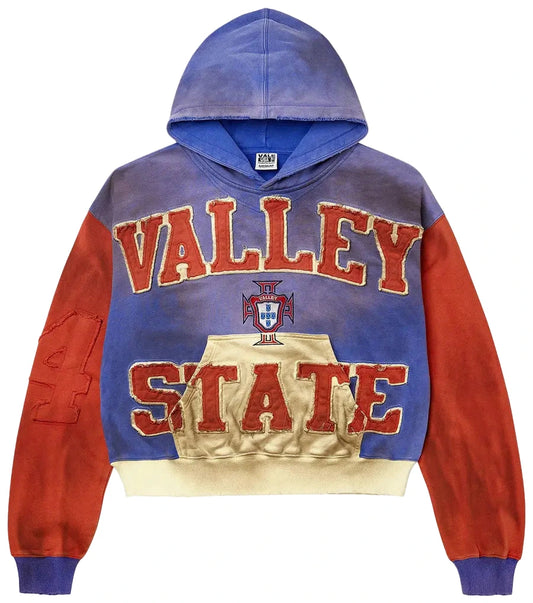 Vale Forever Alumni Pullover 'Multicolor'