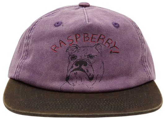 GV Gallery Bulldog Hat 'Washed Purple'