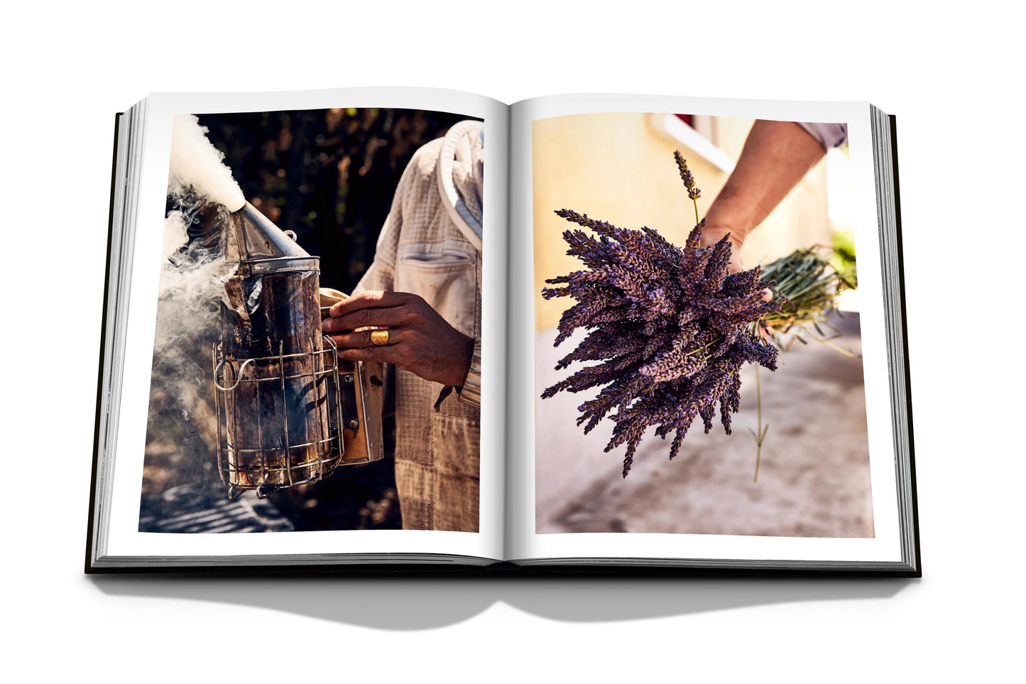 ASSOULINE LOUIS VUITTON MANUFACTURES CLASSIC BOOK