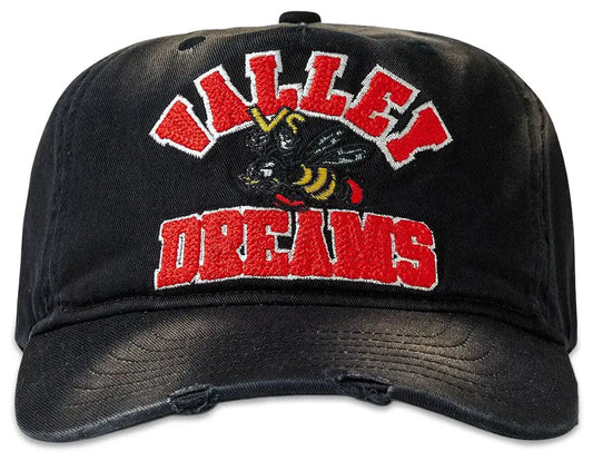 VALE FOREVER WRECKED ANTHEM CAP